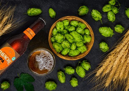 Lúpulo, a alma da cerveja: história do lúpulo, funções e benefícios dessa planta para o ser humano