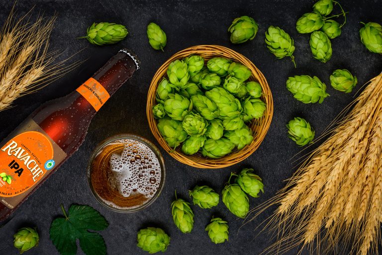 Lúpulo, a alma da cerveja história
